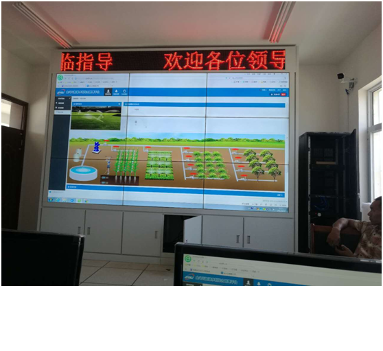 河南农科院实验基地黄瓜视频APP6