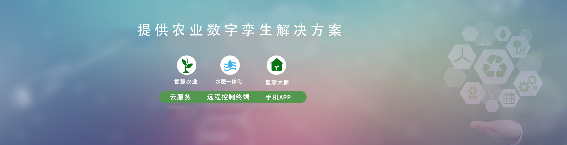 节水黄瓜视频APP6