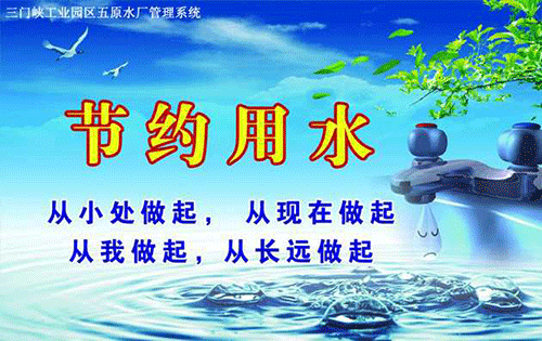 节水黄瓜视频APP6