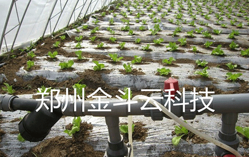 农业黄瓜视频APP6
