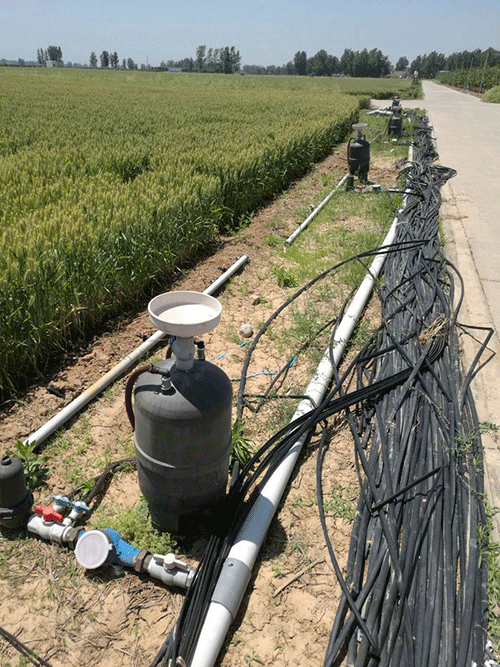 农业黄瓜视频APP6