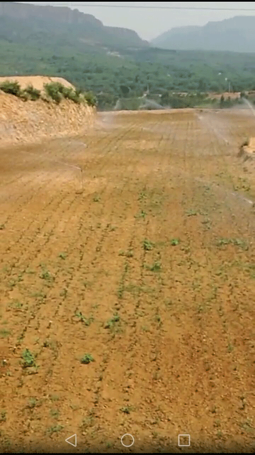 节水黄瓜视频APP6