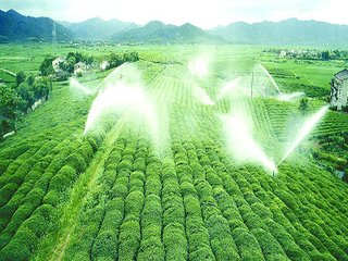 农业黄瓜视频APP6