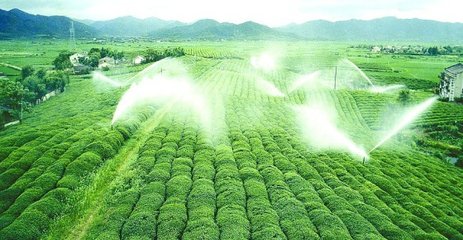 节水黄瓜视频APP6