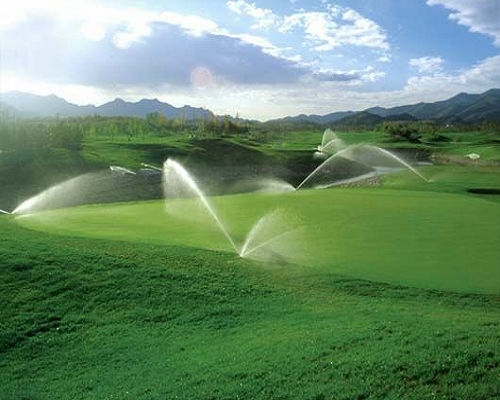 节水黄瓜视频APP6